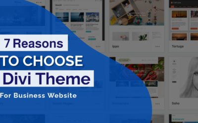 7 Reasons To Choose Divi Theme For Your Business Website